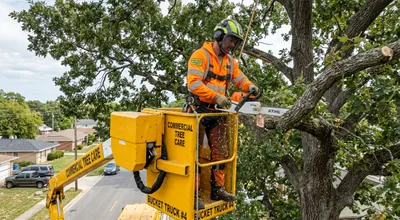 A Tree Fell on My House: What to Do First (Hour-by-Hour Emergency Action Plan)
